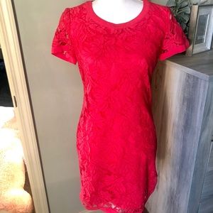 Donna Morgan Pink Lace Dress